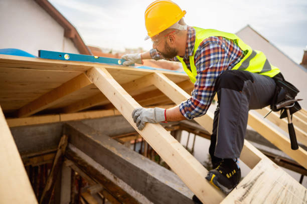 Roof Gutter Cleaning in Huntsville, AR